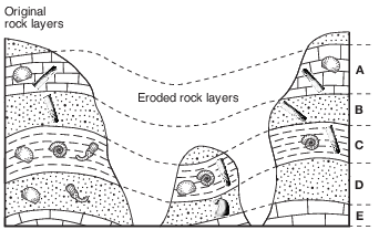 earth-history, earth-history, relative-age-and-sequence-of-rock-strata, standard-6-interconnectedness, models fig: esci12014-examw_g26.png